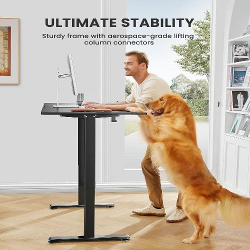 Height Adjustable Electric Standing Desk