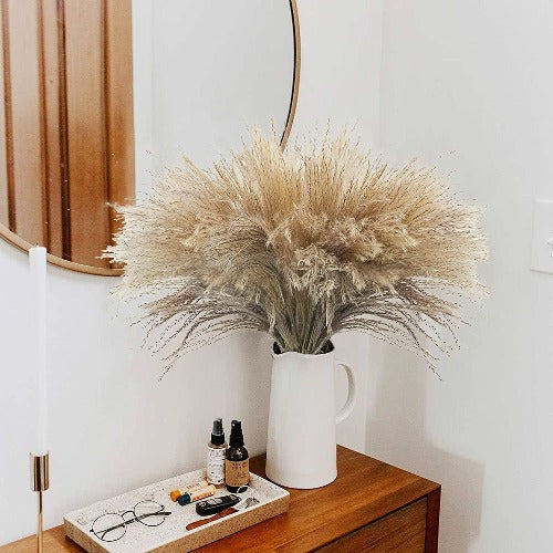 100 pc Natural Dried Pampas Grass