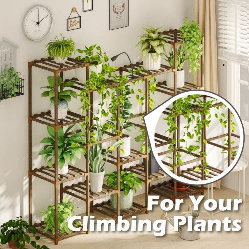 3 Tier Plant Stand