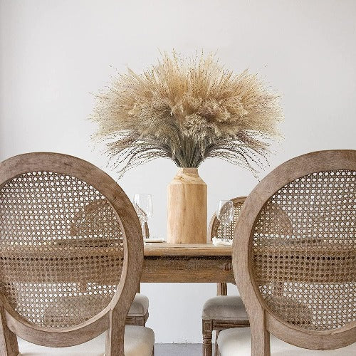 100 pc Natural Dried Pampas Grass