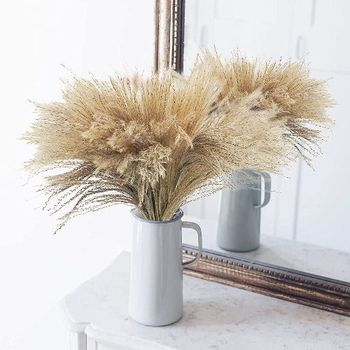 100 pc Natural Dried Pampas Grass